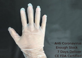 China Guantes libres del vinilo del polvo liso, guantes estéril disponibles Eco amistoso proveedor